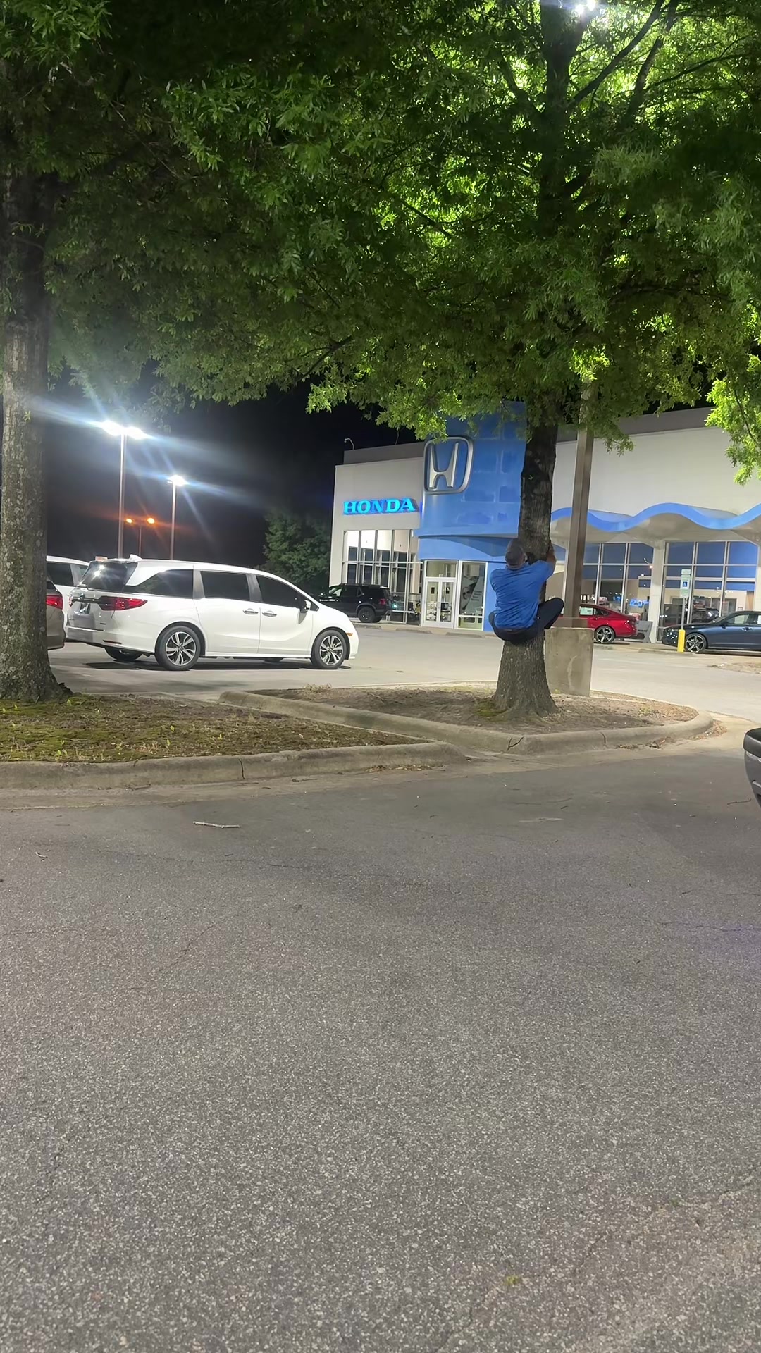 @My Car Guy ๐๐๐ฝโ๏ธ