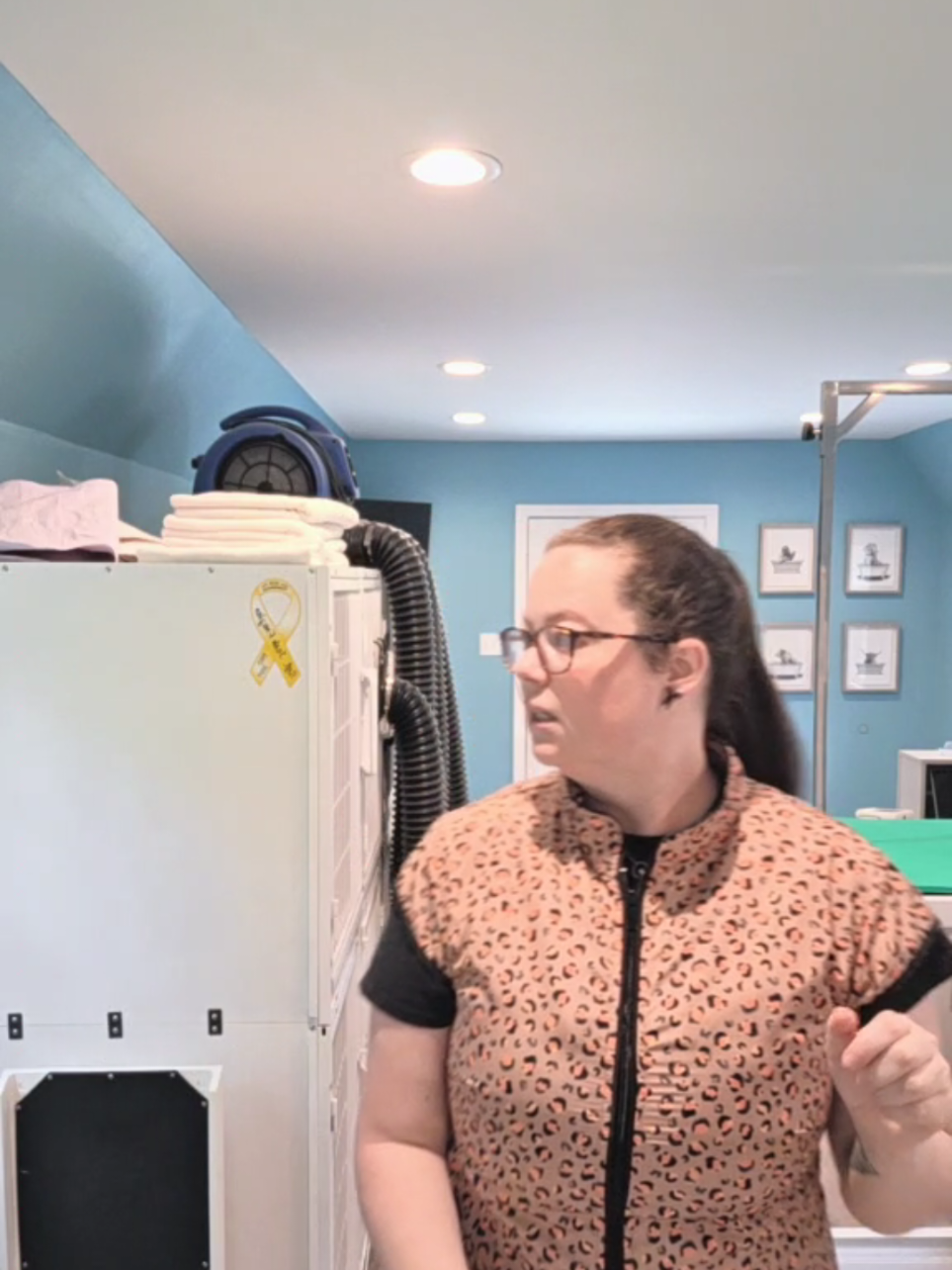 @ShookyDogGroomer-Rachel Shook