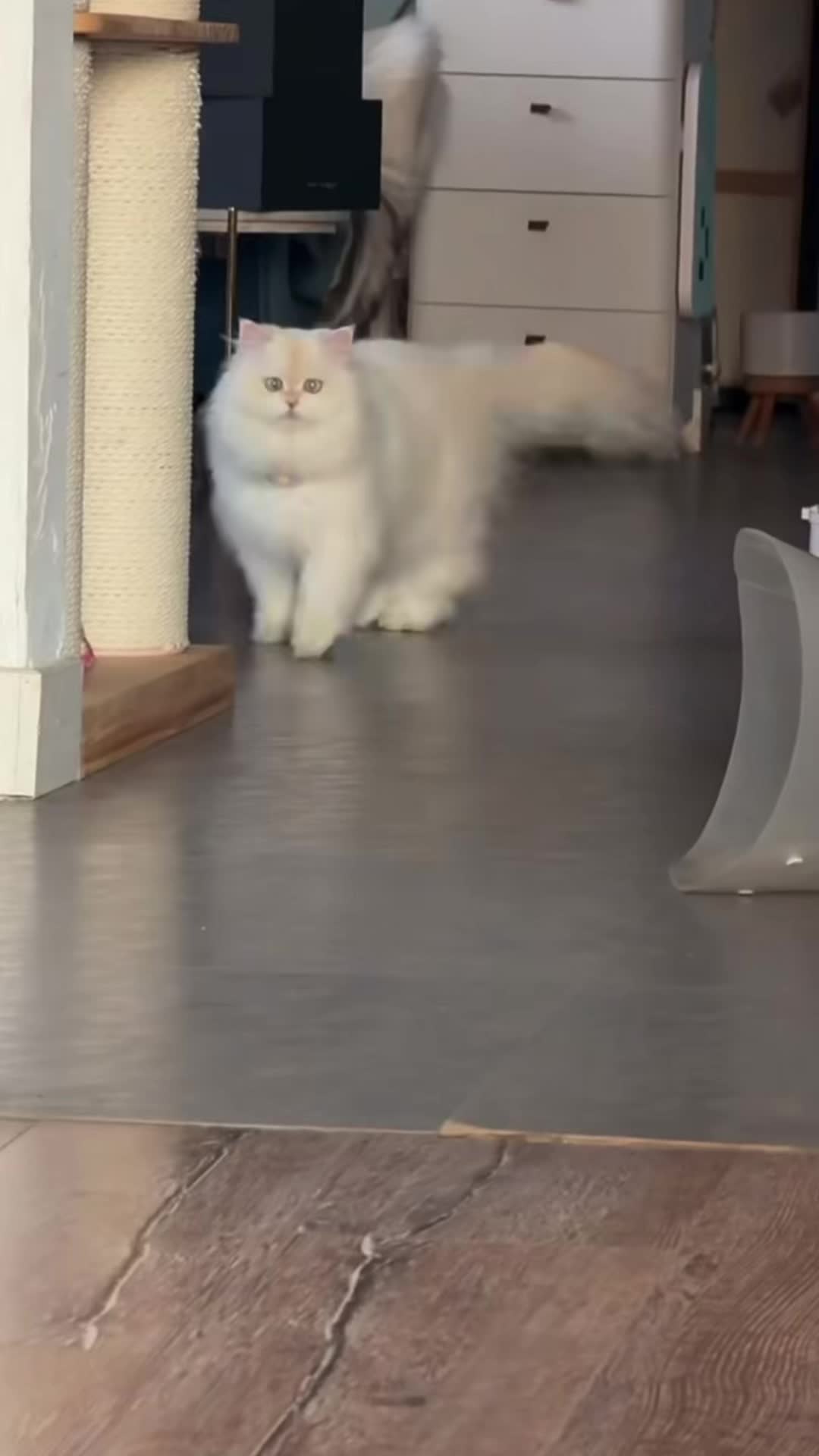 @My Daily Dose of Aww