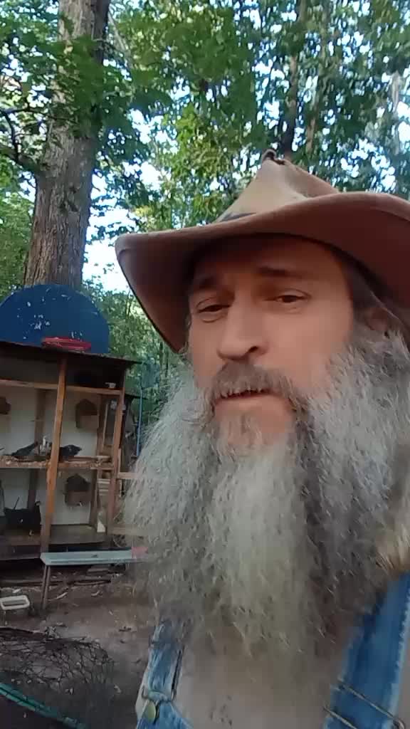 @tonykeener