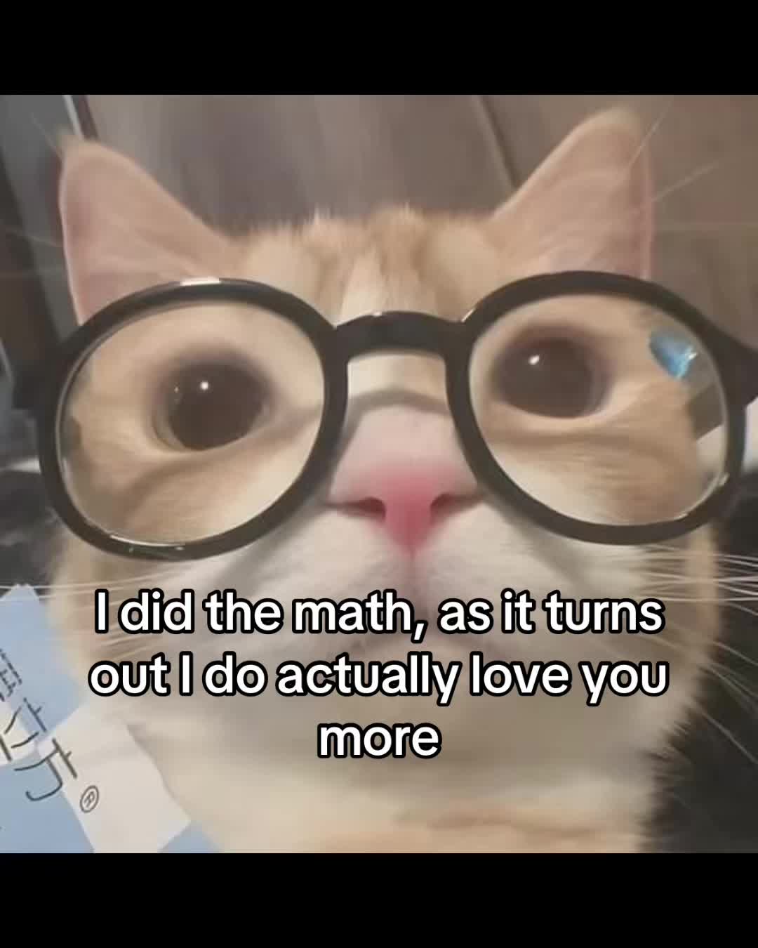@LavanderCat
