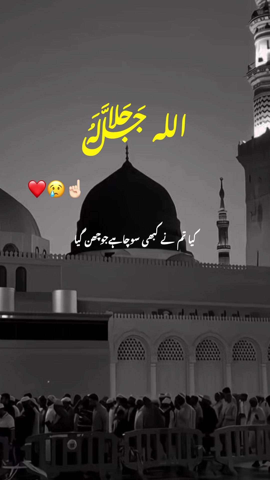 @habibausa1234