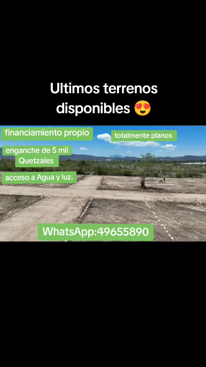 @Mario López asesor