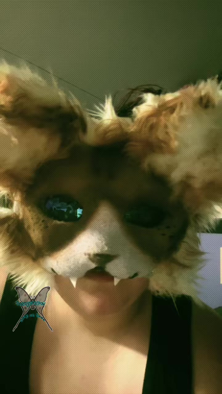 @Solar’paw
