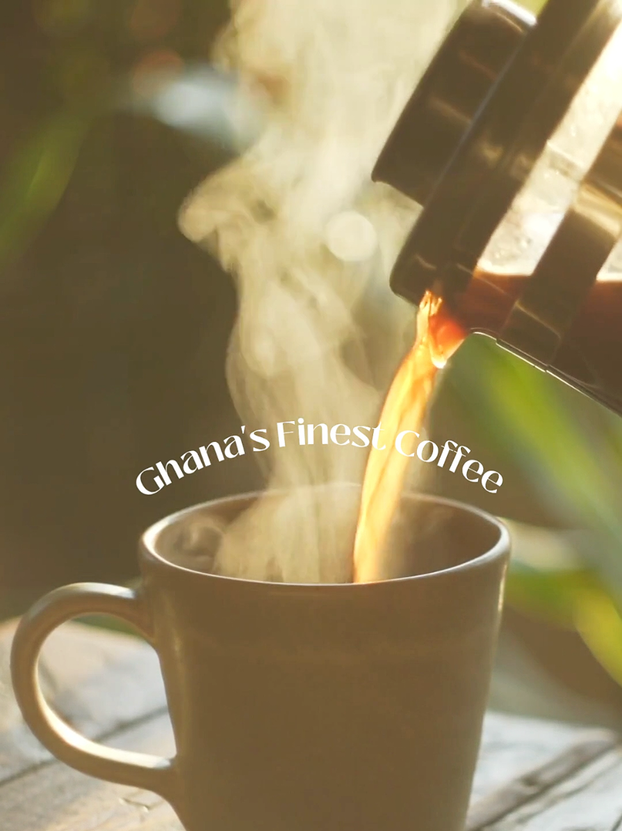 @Gold Coast Roasters Gh