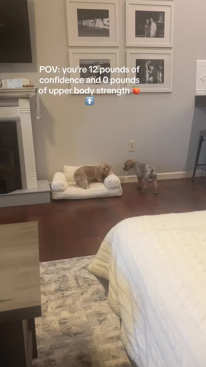@LuluDexLiving