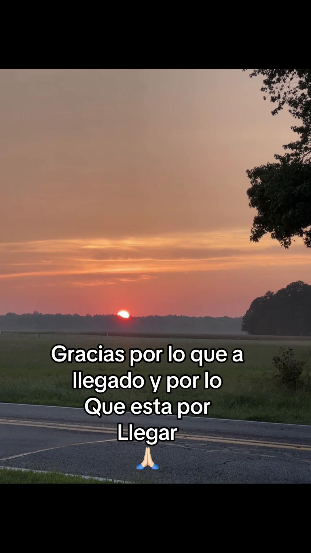@Sandra