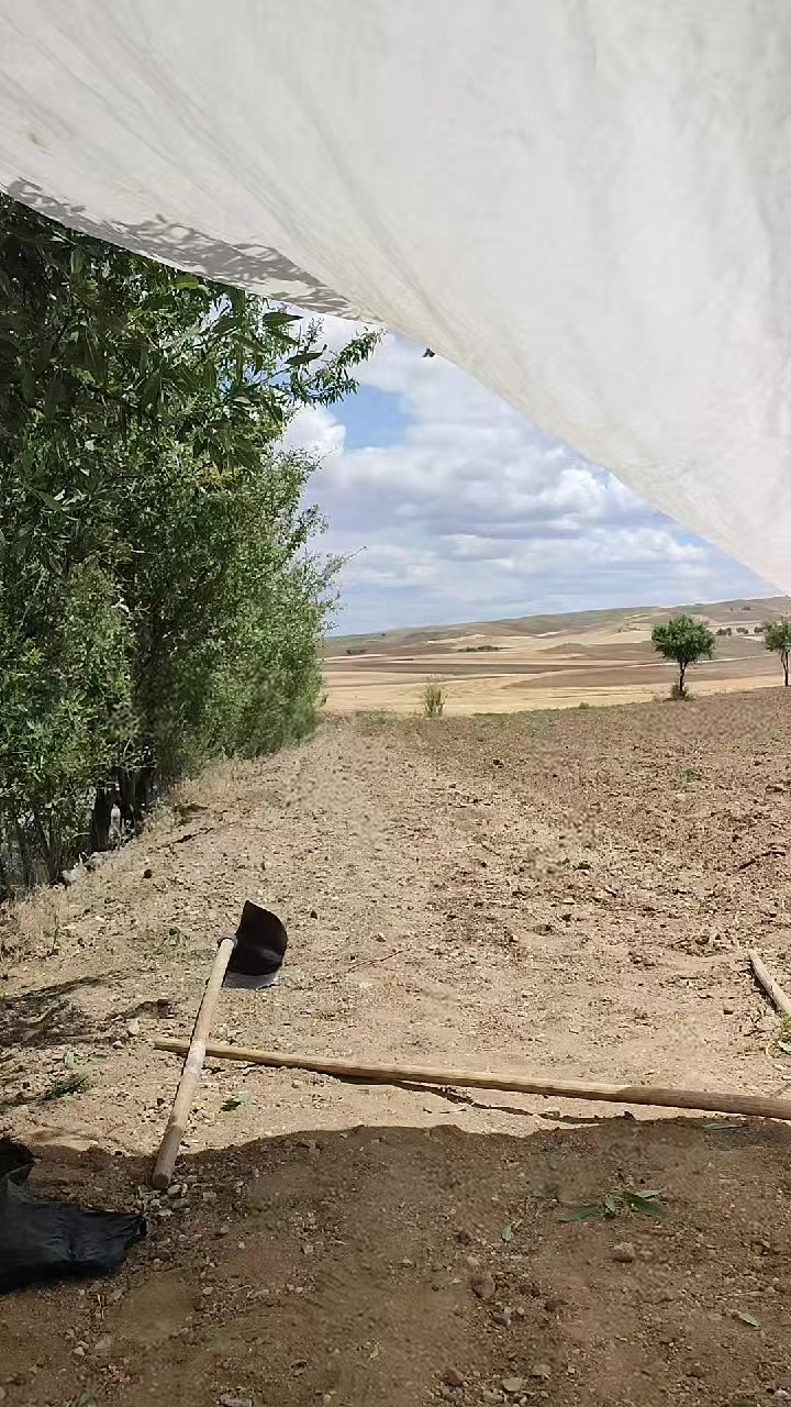 @🤘🇹🇷Yüce Osmanlı🇹🇷🤘