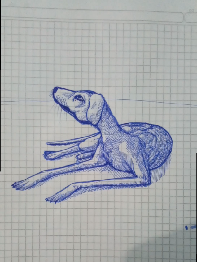 @damiandiaz