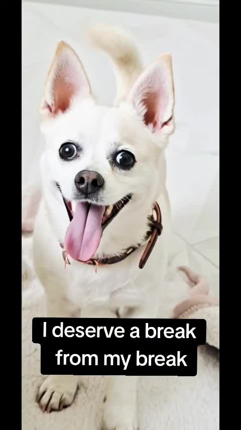 @JJDOYO