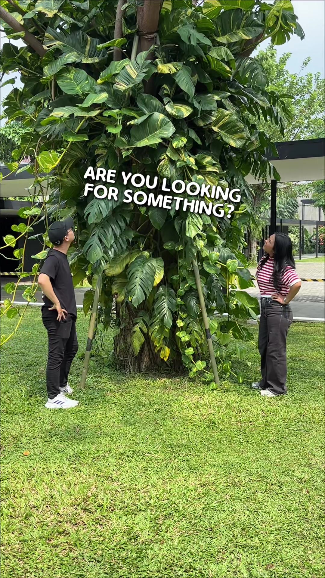 @Chanba