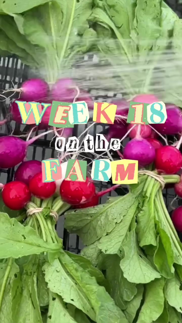@amanduhjoan