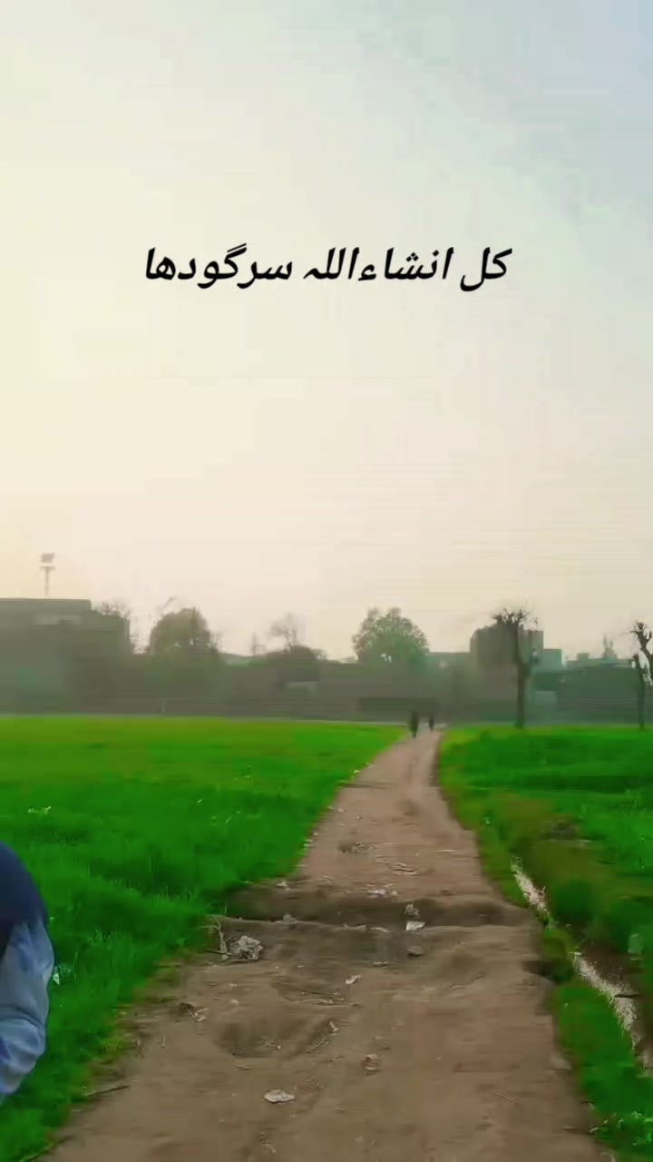 @Kiran Rajpuut 512