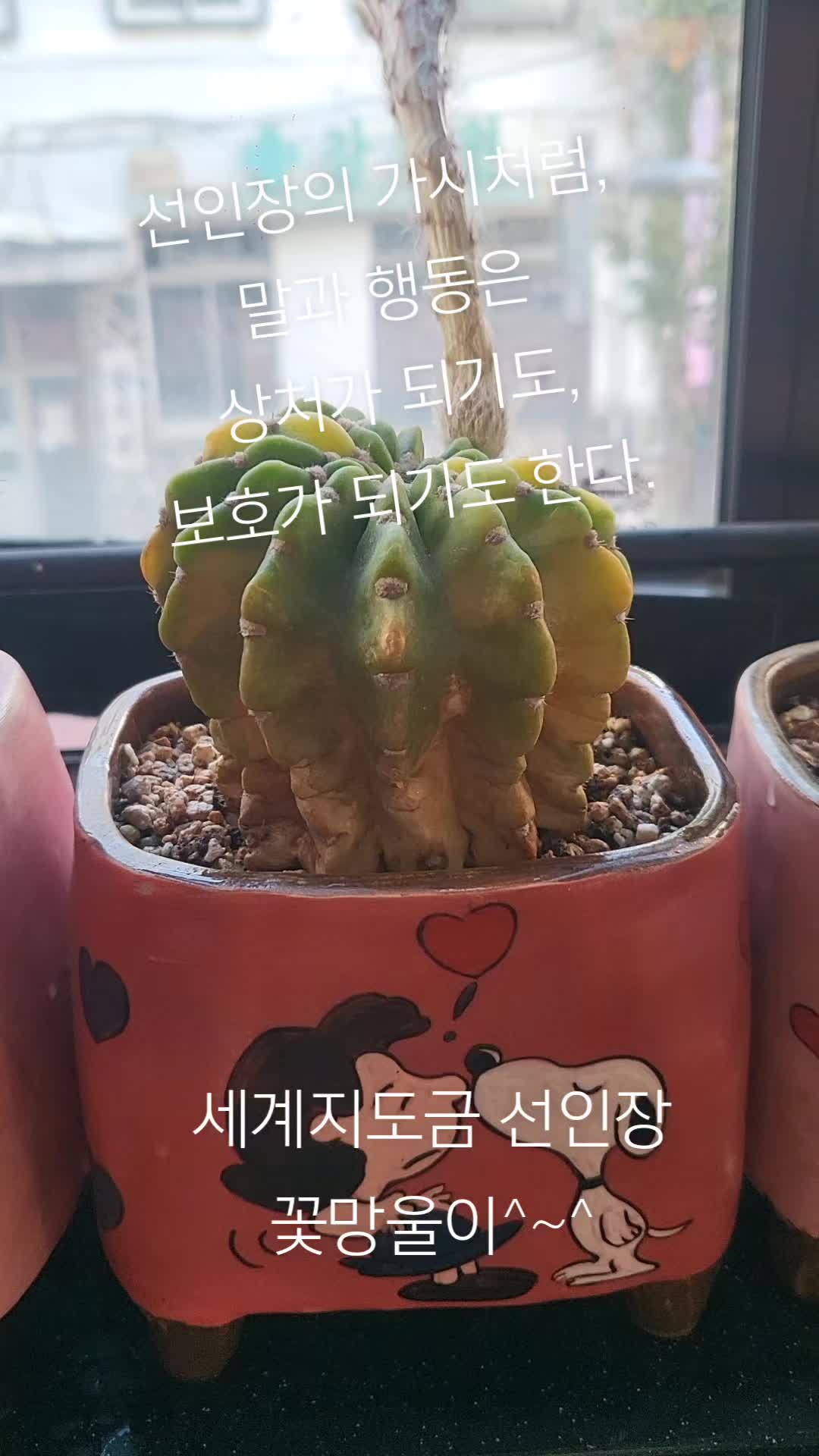 @앤