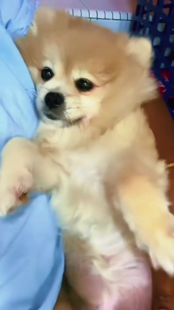 @Mimi