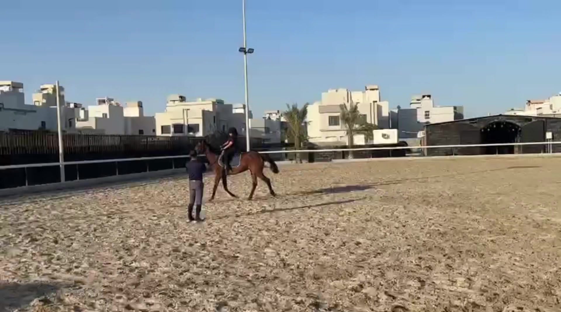 @Al Bosta Equestrian