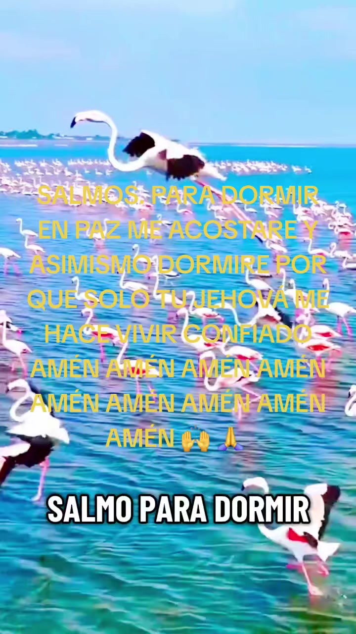 @Iliana Guerrier