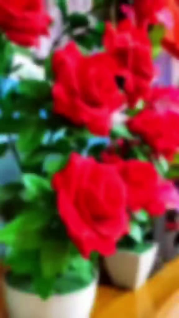 @✍͡Ꭱα፝֟͠ϝíϰ♡〬○ᚒ ֟፝͠͠
