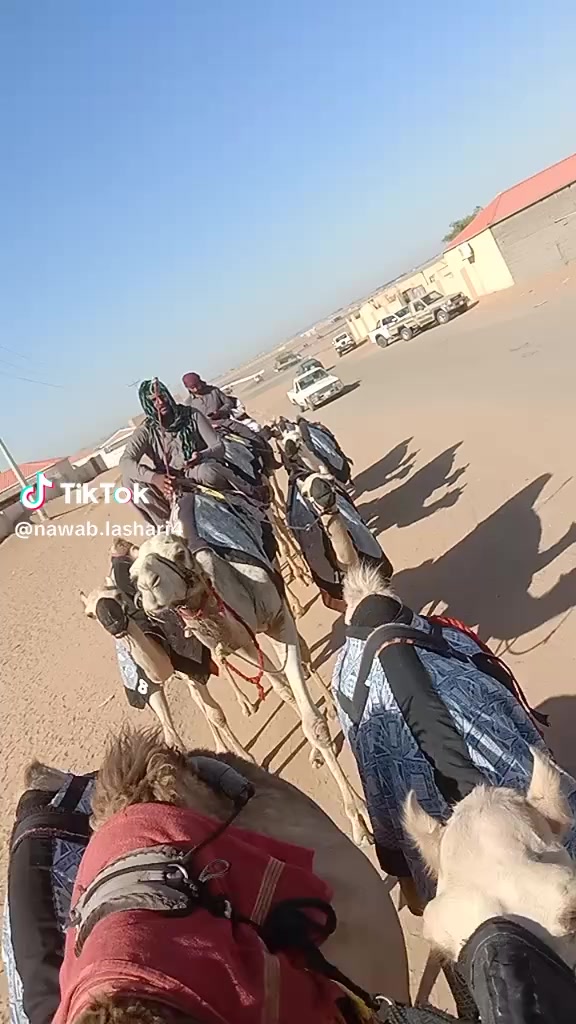 @sajjadalighamber