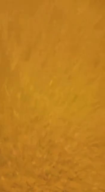 @عبدالعزيز الرفادي⚡️