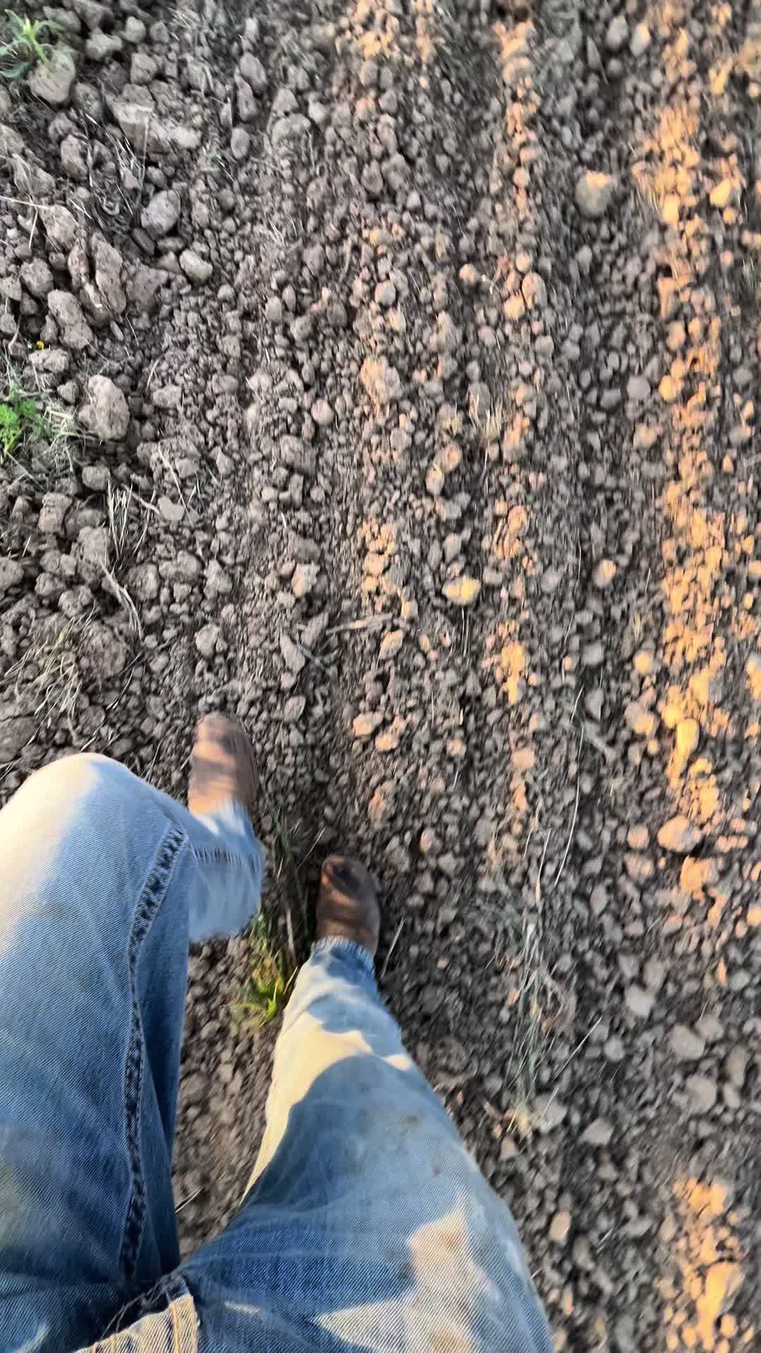 @CFM