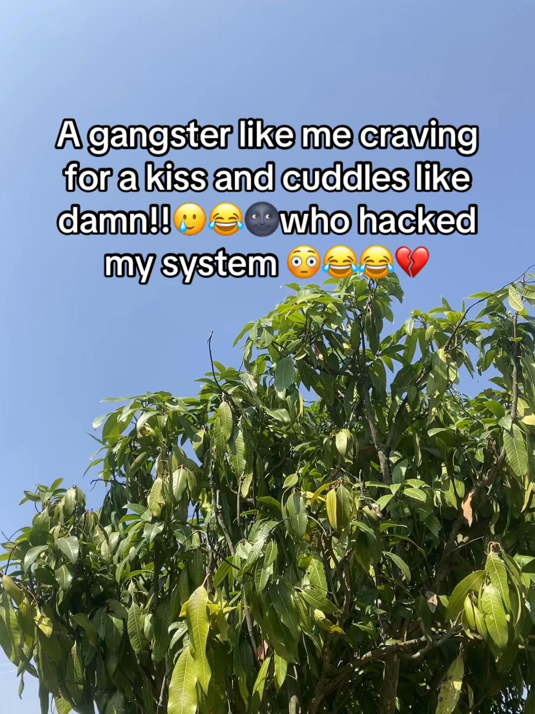@Bree🌹🦋