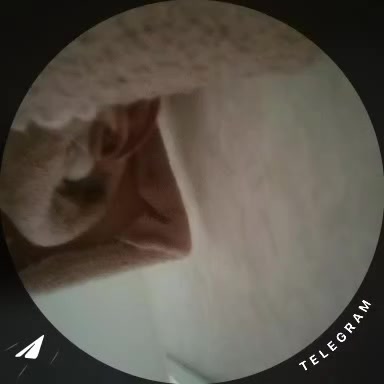 @scālevillaiń [🇻🇮]