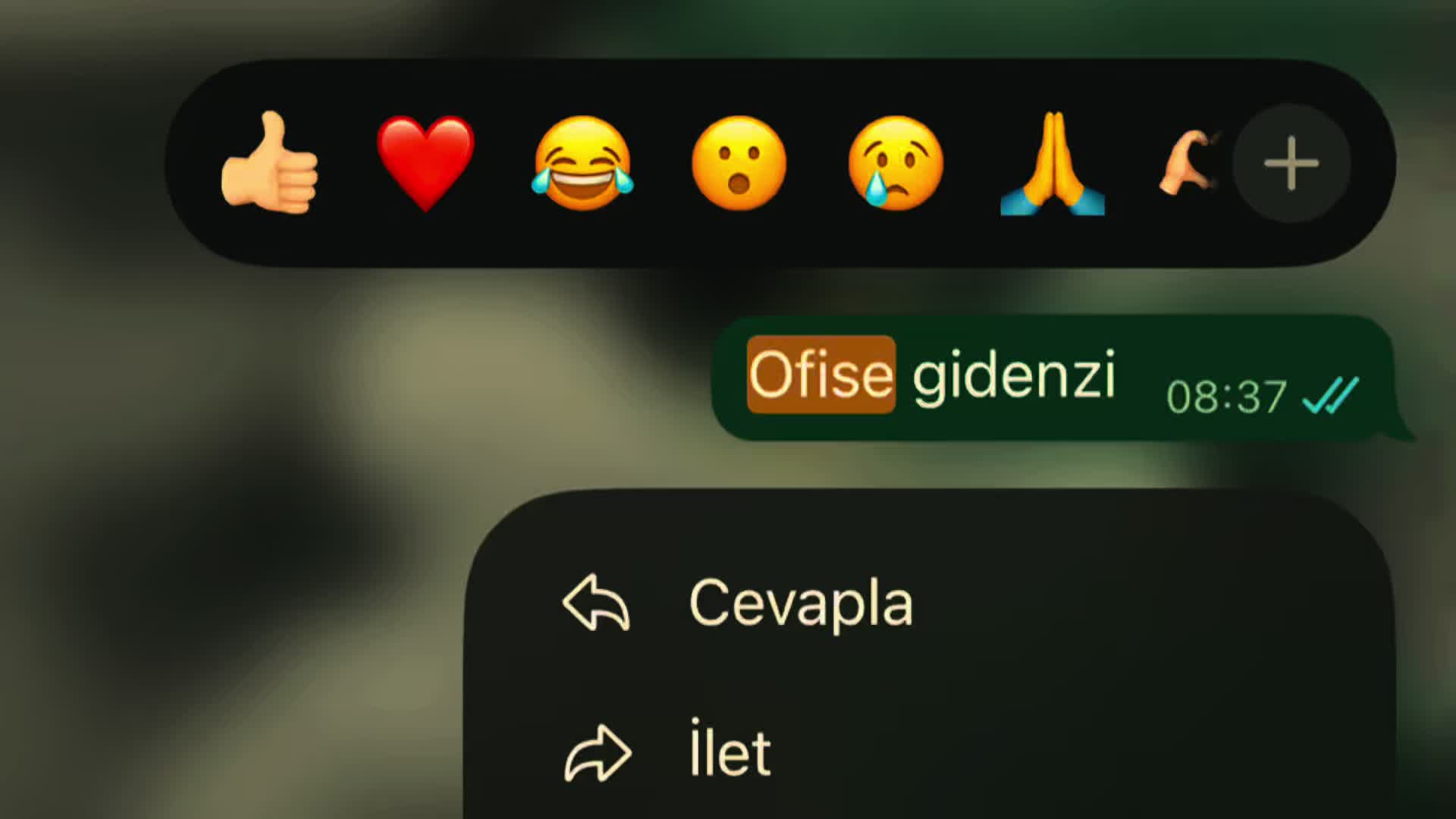 @𝓐𝔂ş𝓮𝓷𝓾𝓻 𝔂ı𝓵𝓶𝓪𝔃'🕊️