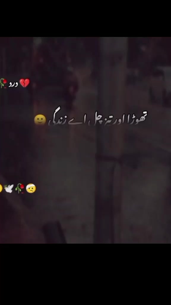 @🩵ѕαяαн 𝑅︎𝑎︎𝑛︎𝑖︎𝑖︎🩵