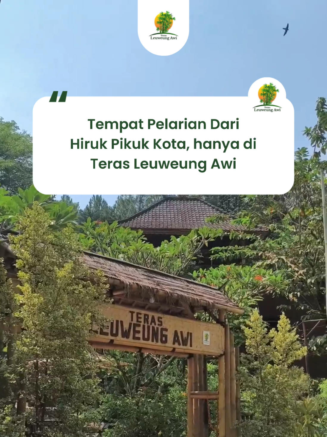 @Teras Leuweung Awi