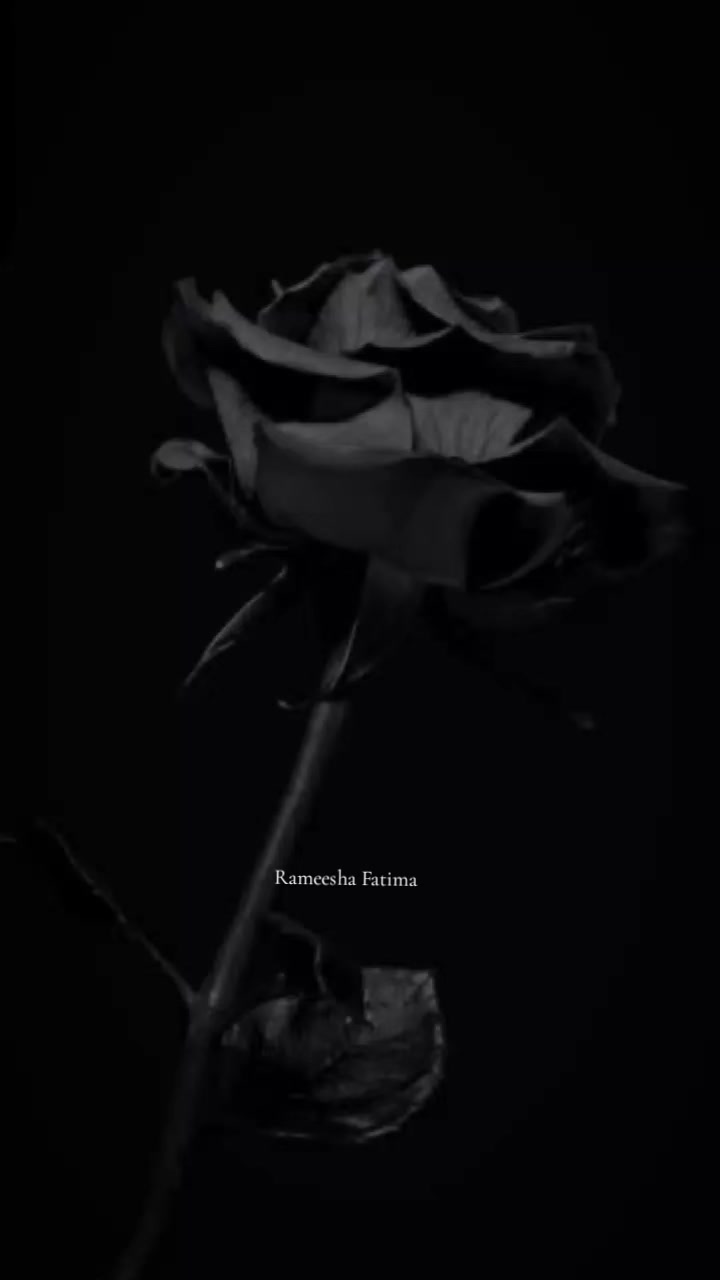 @Rameesha Fatima