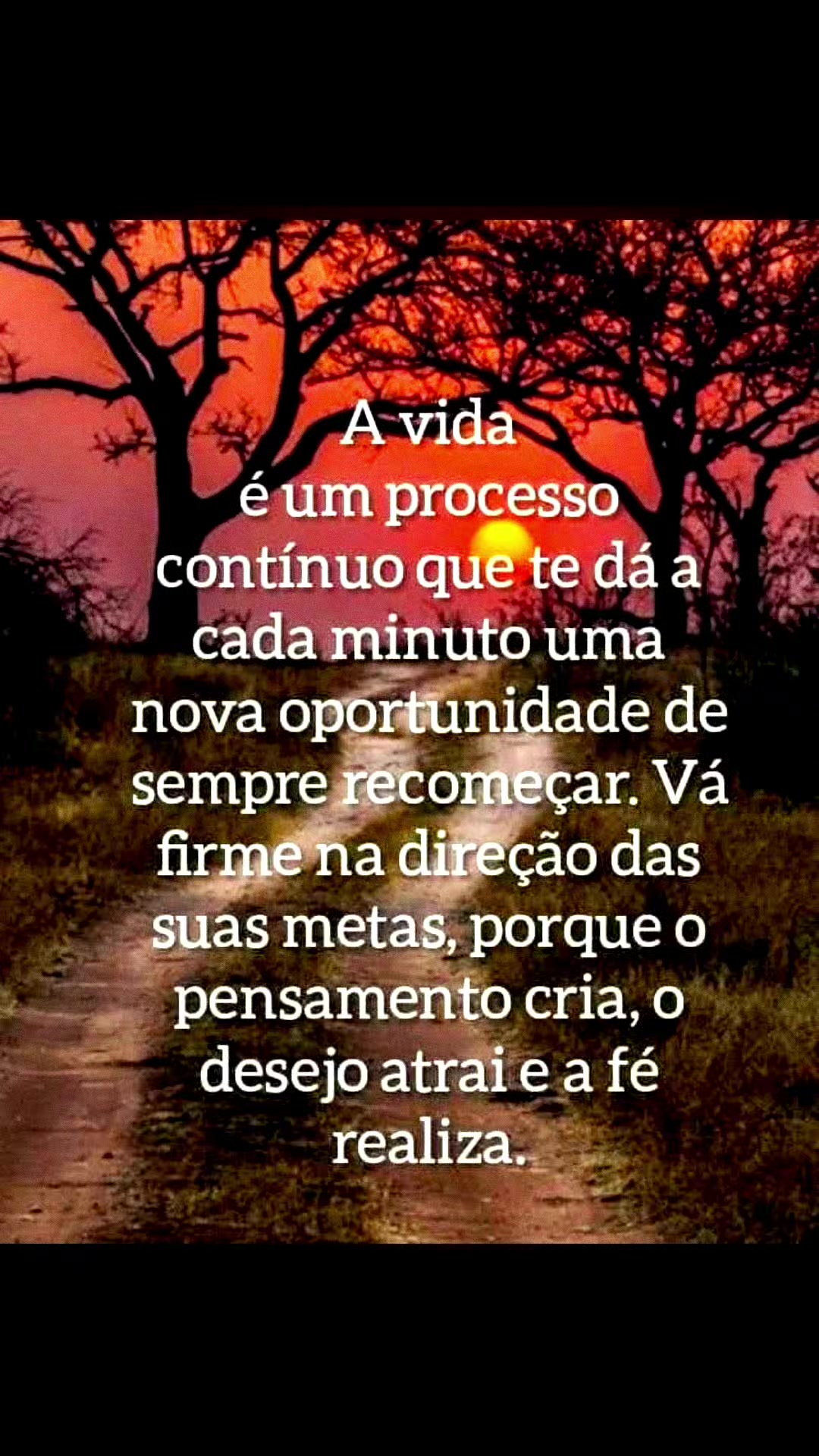 @Reginaldo Marques Sanchez