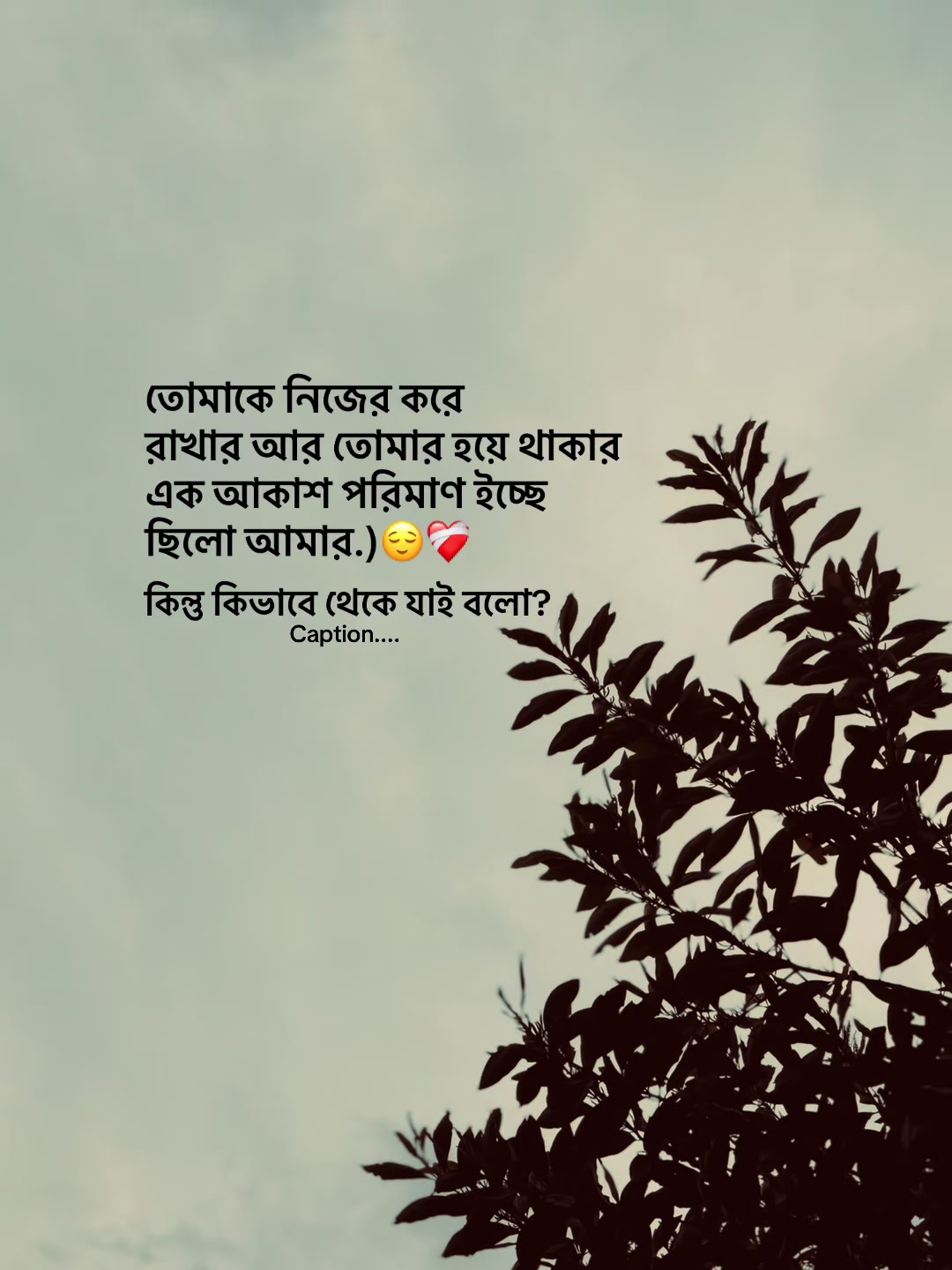 @आईएएन ┊🐥