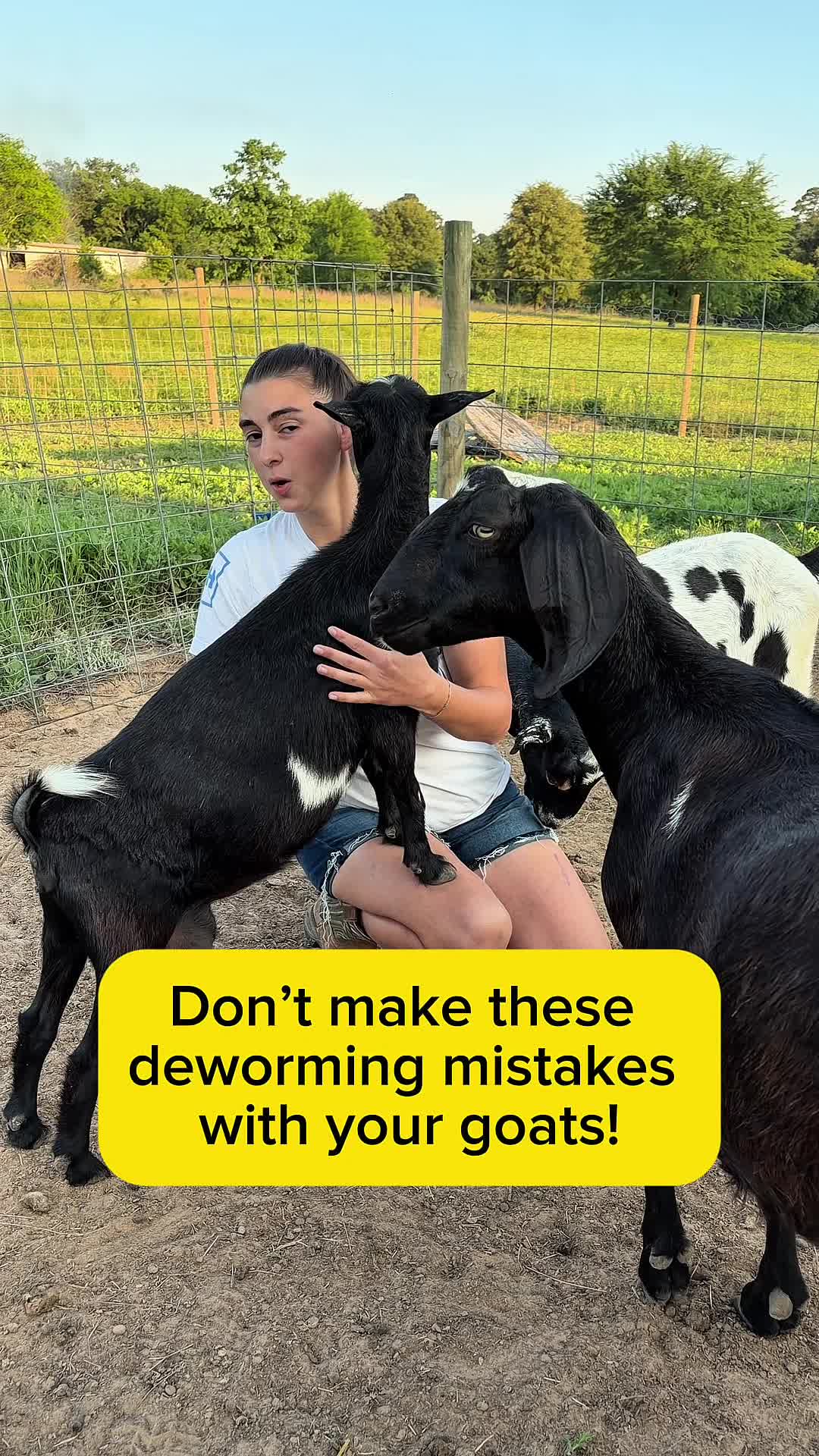 @Heart & Hoof Homestead