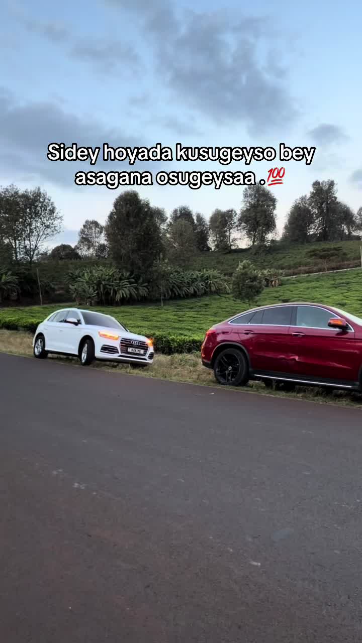 @hakime_fx_