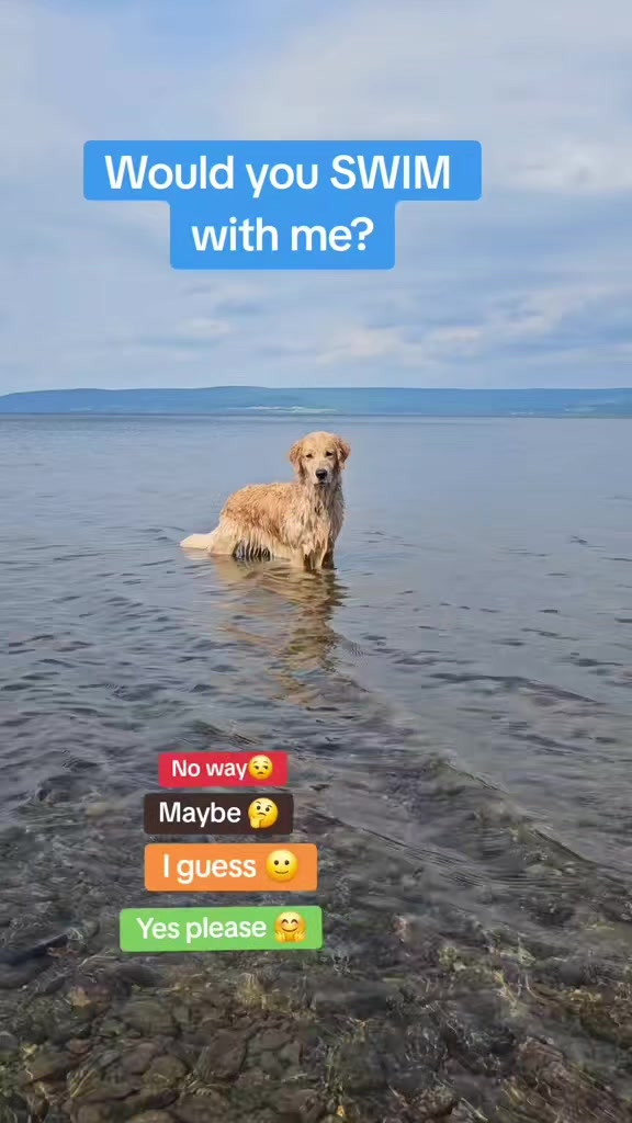 @🐶Griffin
