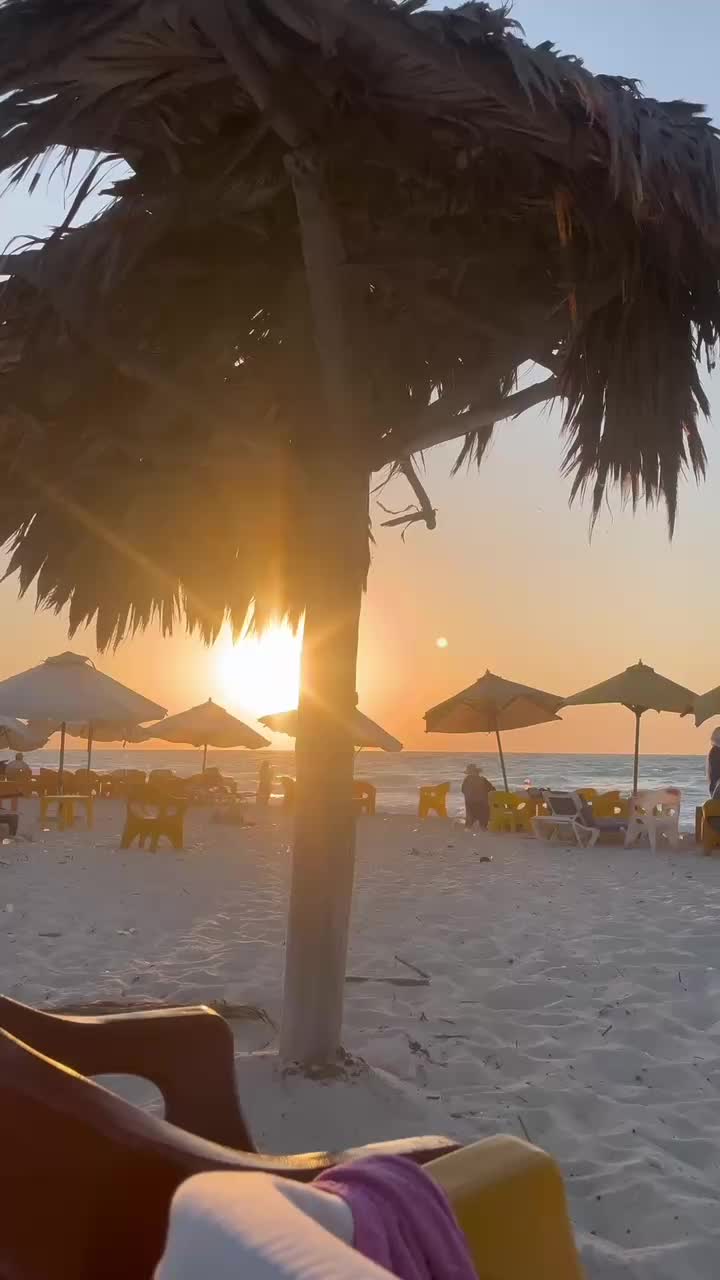 @﮼ما💤ووون🌪️