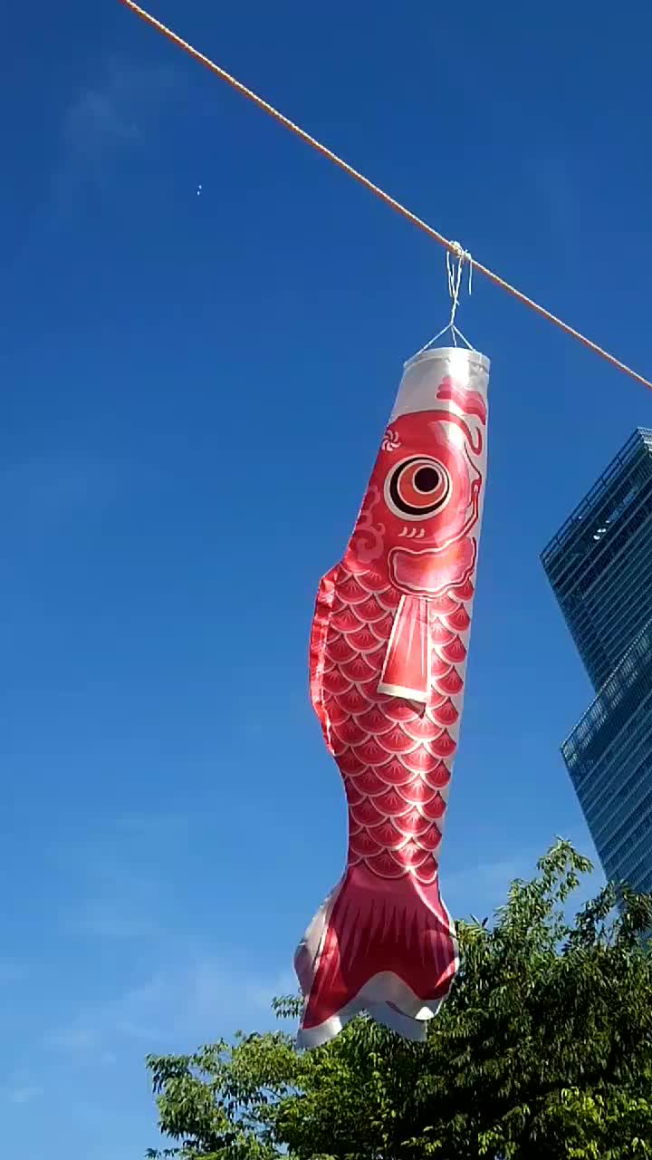@五十嵐😎龍騎