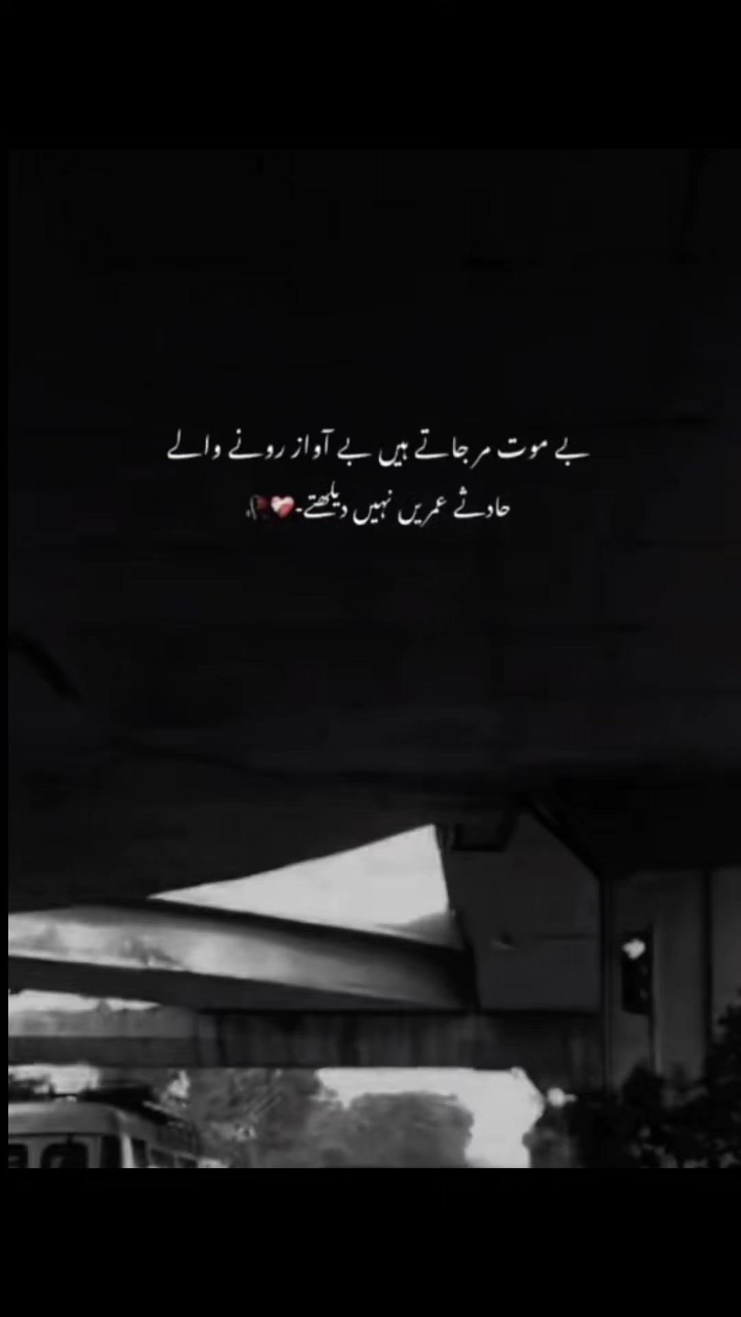 @Mzohan💫