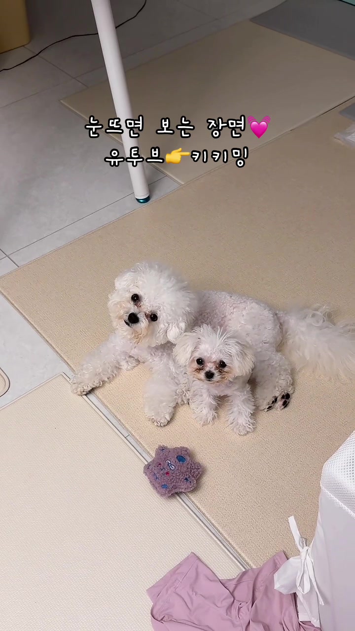 @jeju_kiki