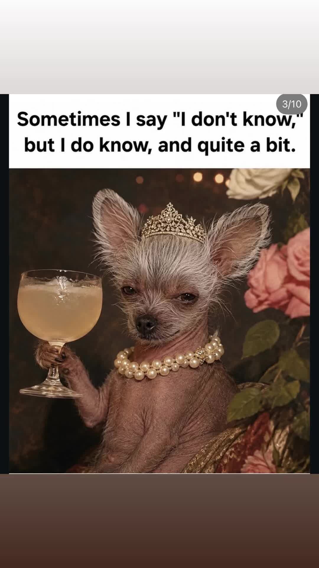 @frenchievee174