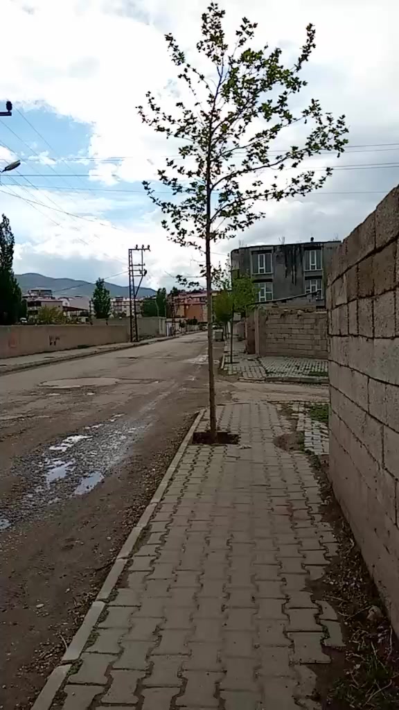 @"🦋