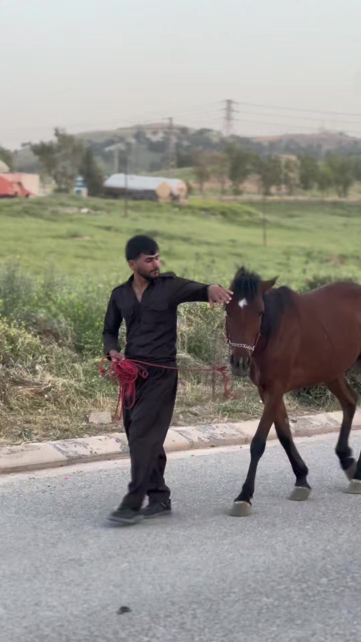 @هەڵۆچیمەنی