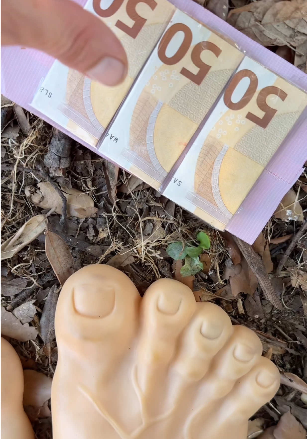 @Cash_Catch_Italy
