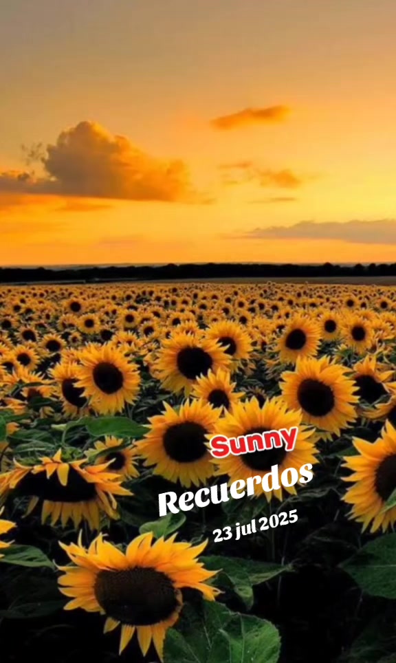 @✨Sunny✨
