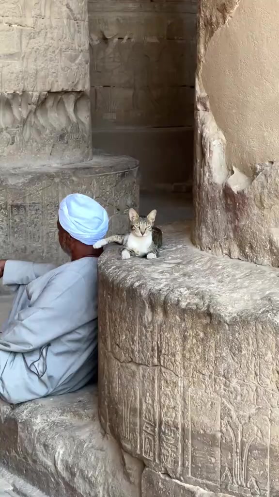 @Luxor guide. Mahmoud