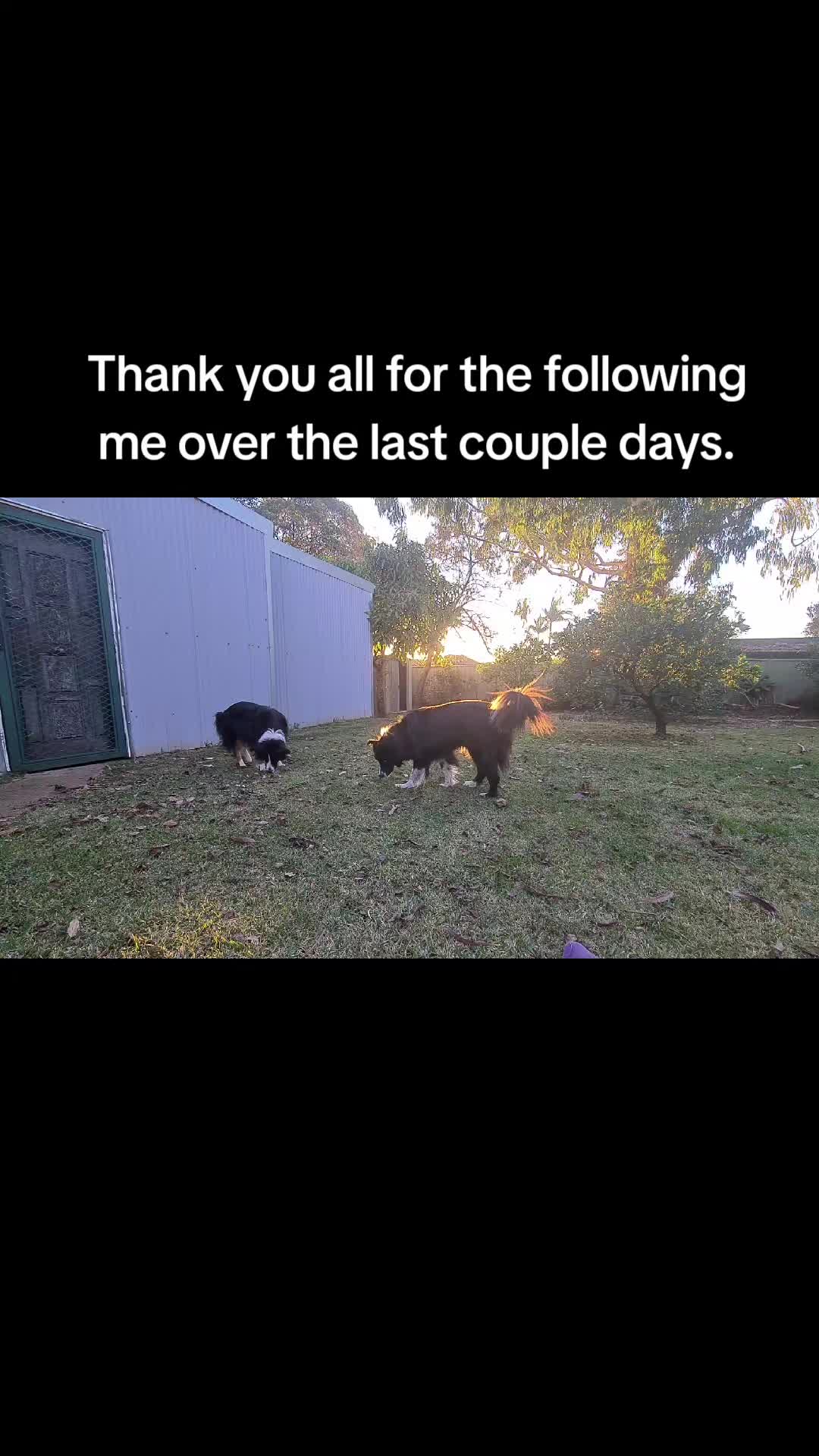 @Nicole