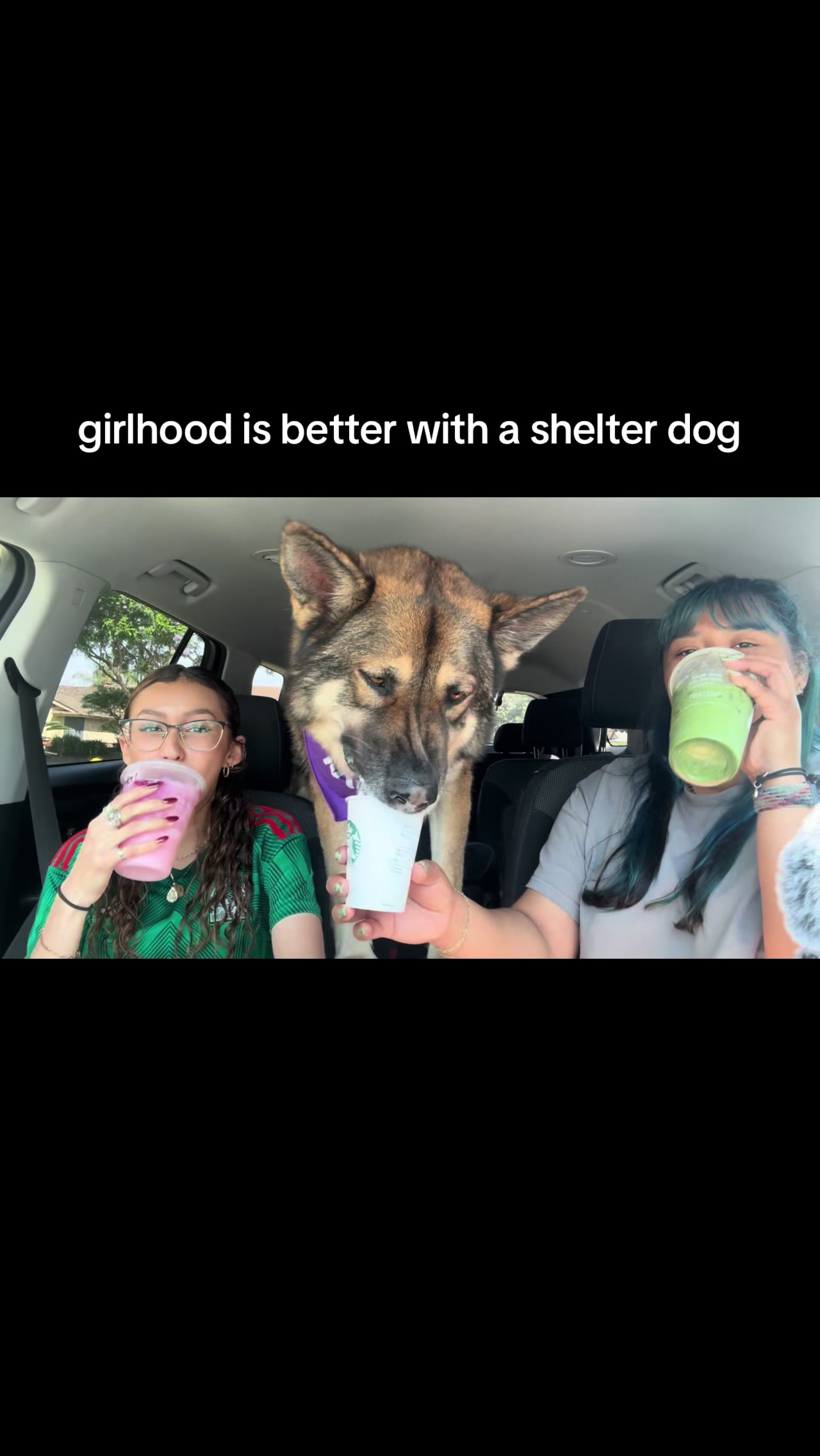 @Ventura County Animal Services