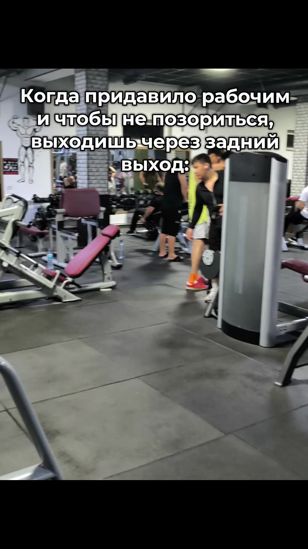 @Guts𒉭