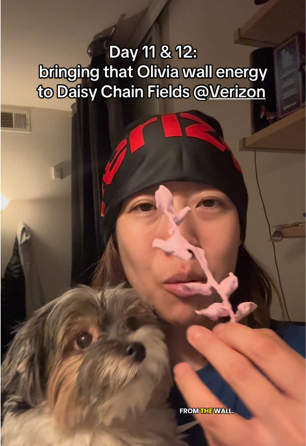 @CrystalUnscripted